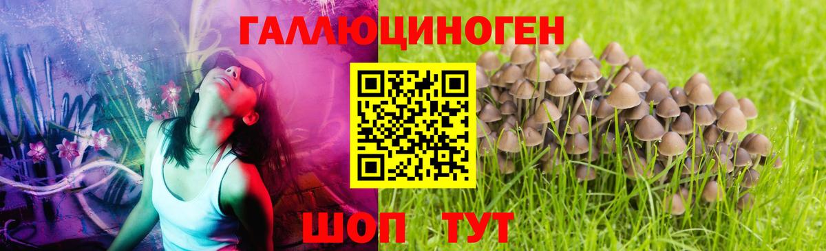 Галлюциногенные грибы Magic Shrooms Чернушка