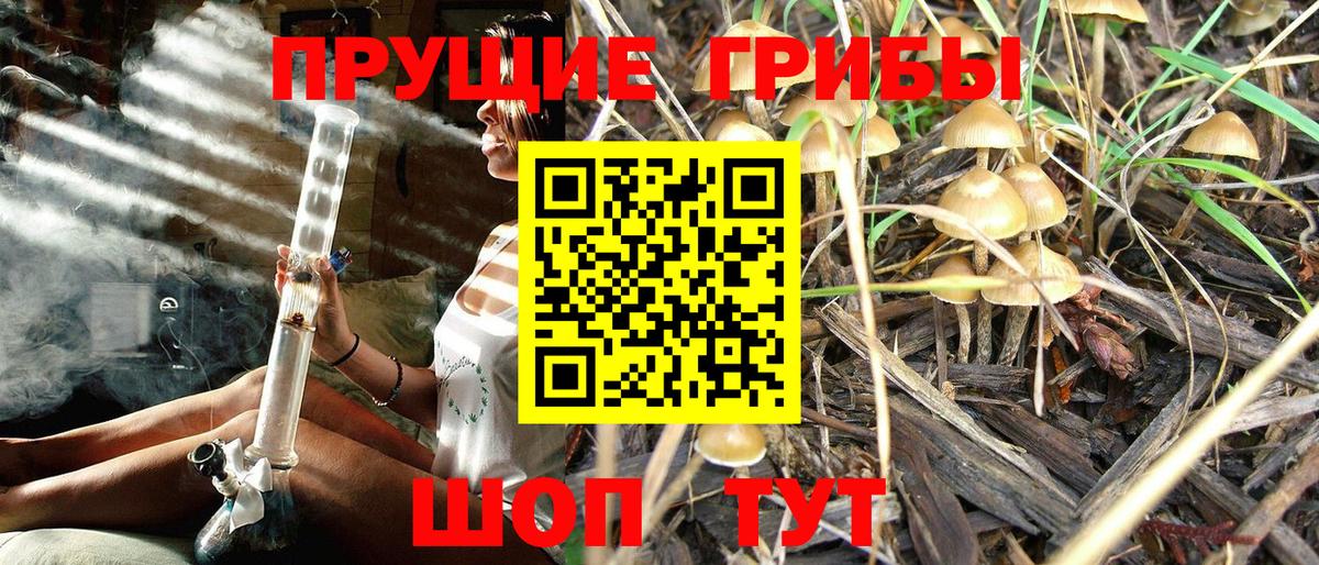 Псилоцибиновые грибы ЛСД  Галлюциногенные грибы ЛСД  Вход с VPN  Чернушка 